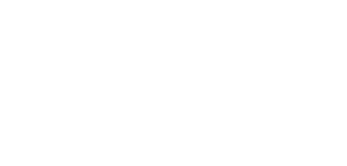 Medway Borough Council